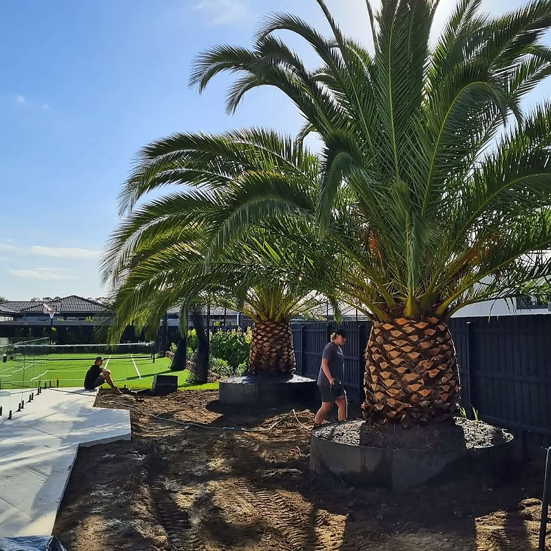 Landscaping-Melbourne-12